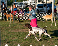 20250828-DSC08570