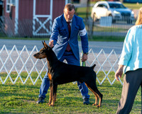 20250828-DSC08630
