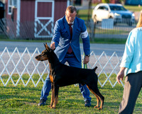 20250828-DSC08629