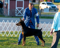 20250828-DSC08627