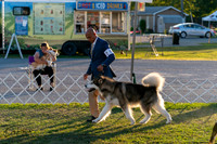 20250828-DSC08643