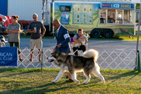 20250828-DSC08652