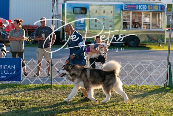 20250828-DSC08652