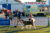 20250828-DSC08666