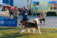 20250828-DSC08656