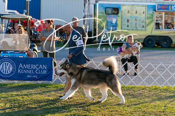 20250828-DSC08656