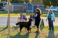 20250828-DSC08689