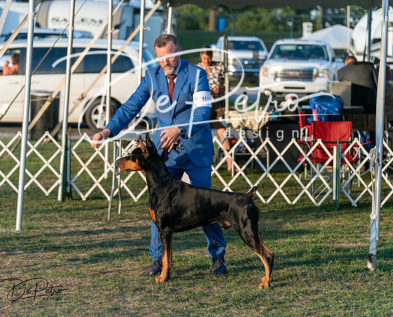 20250828-DSC08619