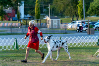 20250828-DSC08586