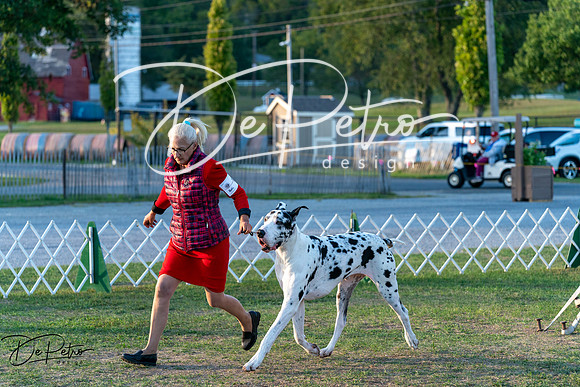 20250828-DSC08586