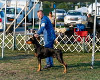 20250828-DSC08622