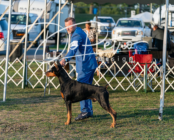 20250828-DSC08622