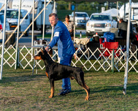 20250828-DSC08621