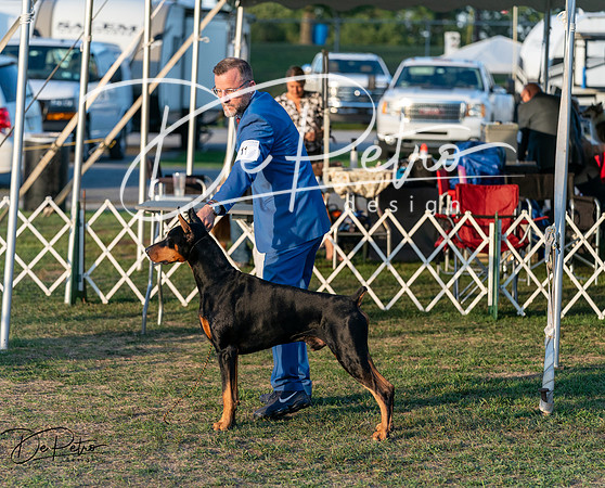 20250828-DSC08621