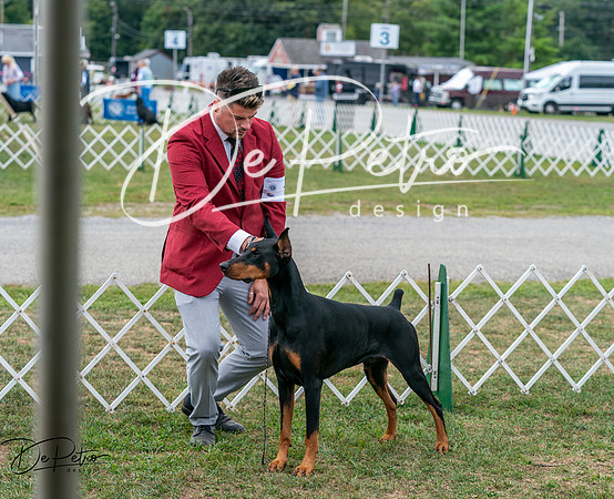 20250829-DSC09037