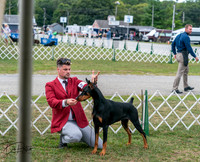 20250829-DSC09045