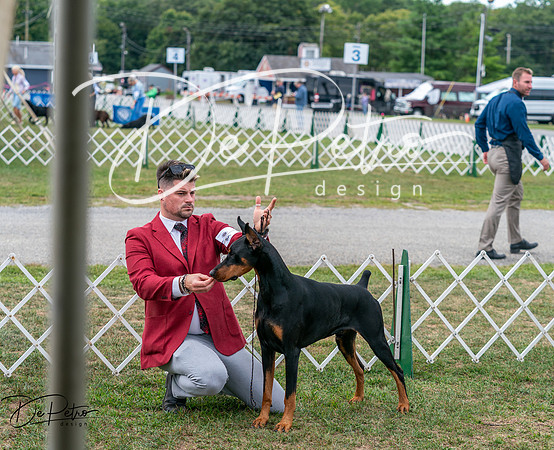 20250829-DSC09045