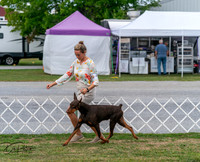 20250829-DSC09050