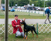 20250829-DSC09047