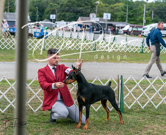 20250829-DSC09047