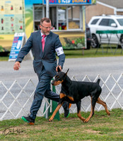 20250829-DSC08919