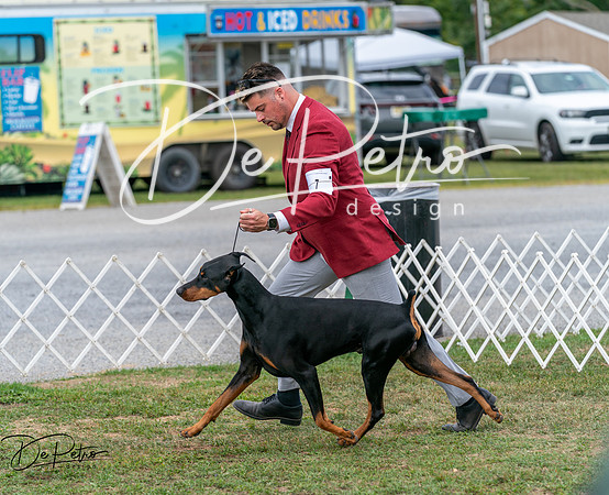 20250829-DSC08954