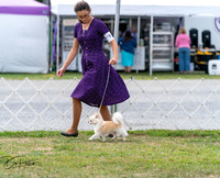 20250829-DSC09205