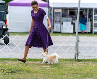20250829-DSC09215