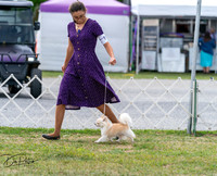 20250829-DSC09218