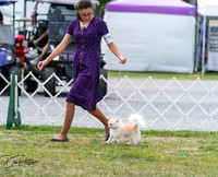 20250829-DSC09227
