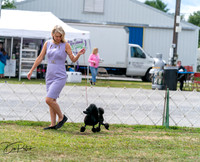 20250829-DSC09255