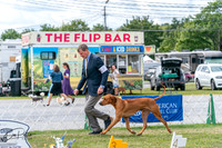 20250829-DSC09380