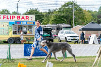 20250829-DSC09385