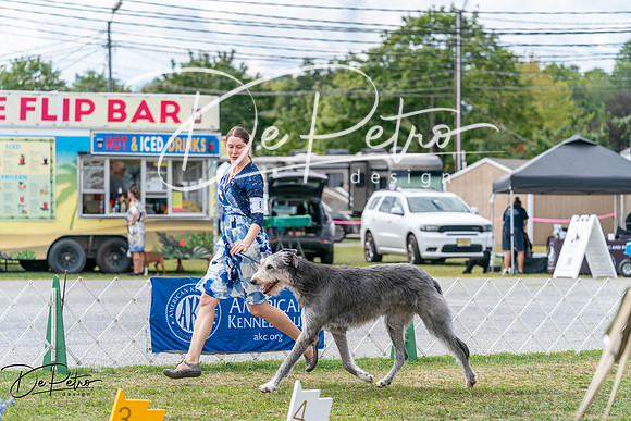 20250829-DSC09385