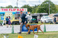 20250829-DSC09375