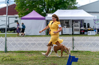 20250829-DSC09440