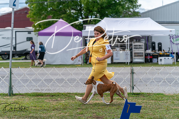 20250829-DSC09440