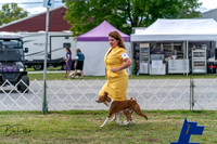20250829-DSC09444