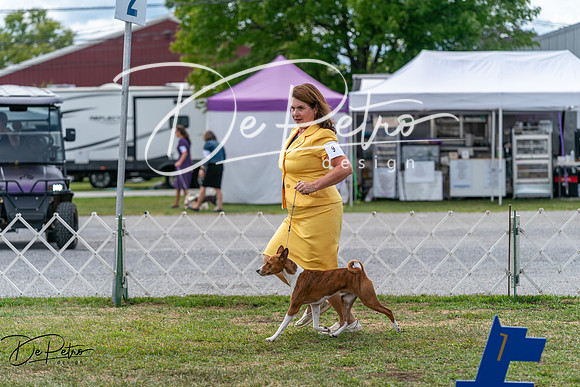 20250829-DSC09444