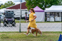 20250829-DSC09447