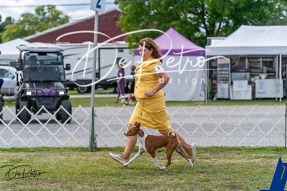 20250829-DSC09447