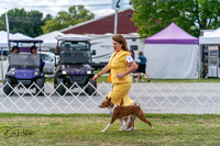 20250829-DSC09451