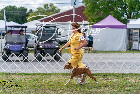 20250829-DSC09451