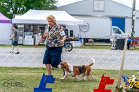 20250829-DSC09456
