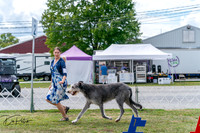 20250829-DSC09486