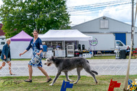 20250829-DSC09481