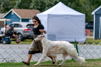 20250829-DSC09497