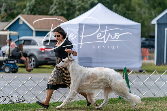 20250829-DSC09497