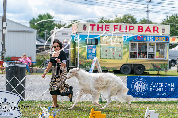 20250829-DSC09516