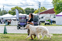 20250829-DSC09521